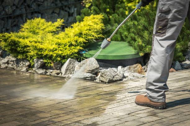 Best Dumpster Area Cleaning  in Norris City, IL