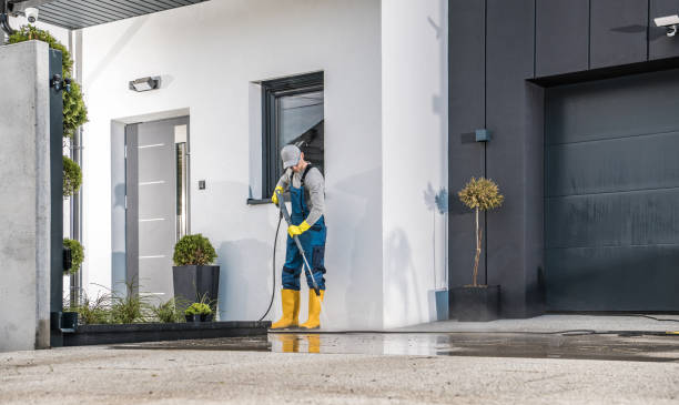 Best Oil Spill Cleanup  in Norris City, IL